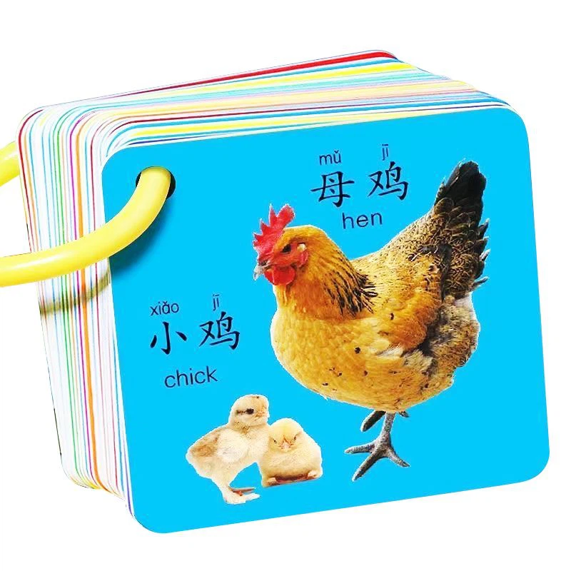 Cartes d'apprentissage chinois et en anglais